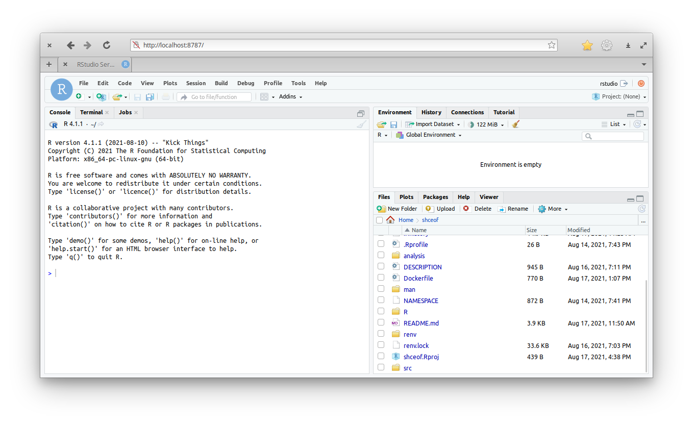 Screenshot of a browser session with RStudio runnign inside.